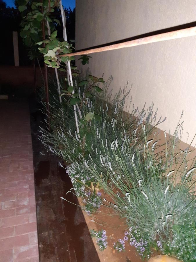 Ližnjan Studio Apartman San 3 מראה חיצוני תמונה