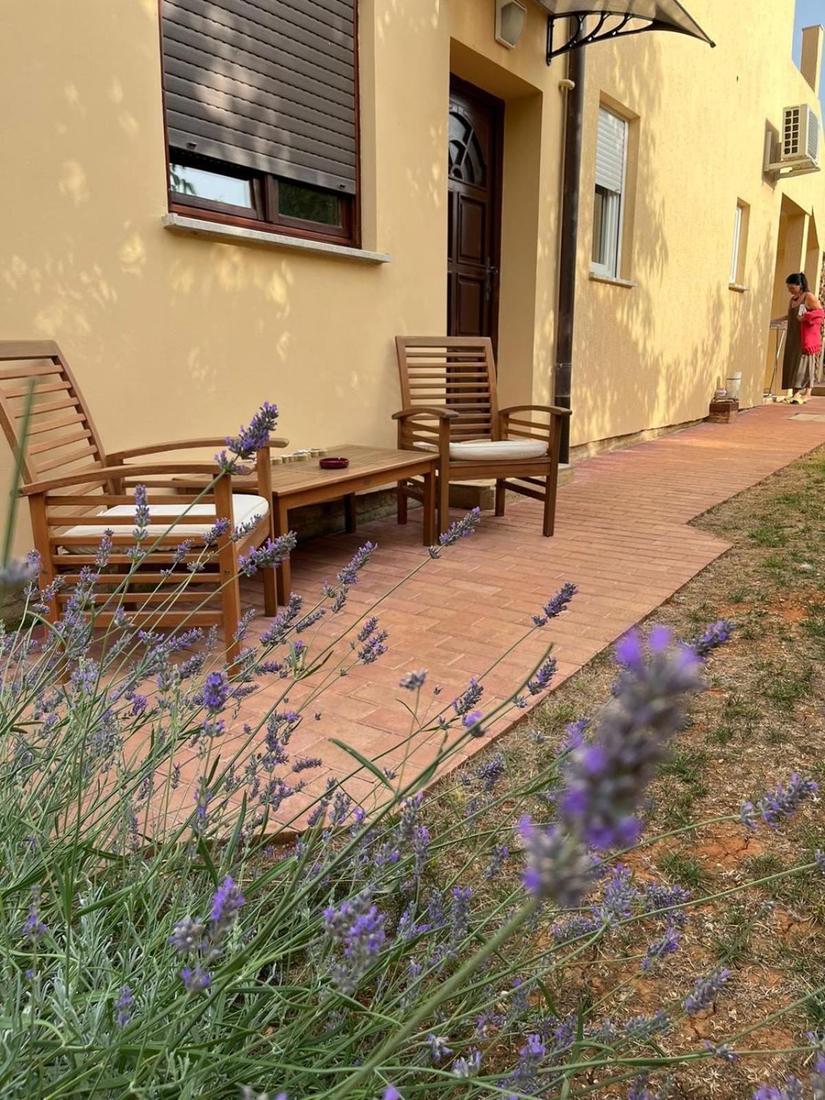 Ližnjan Studio Apartman San 3 חדר תמונה