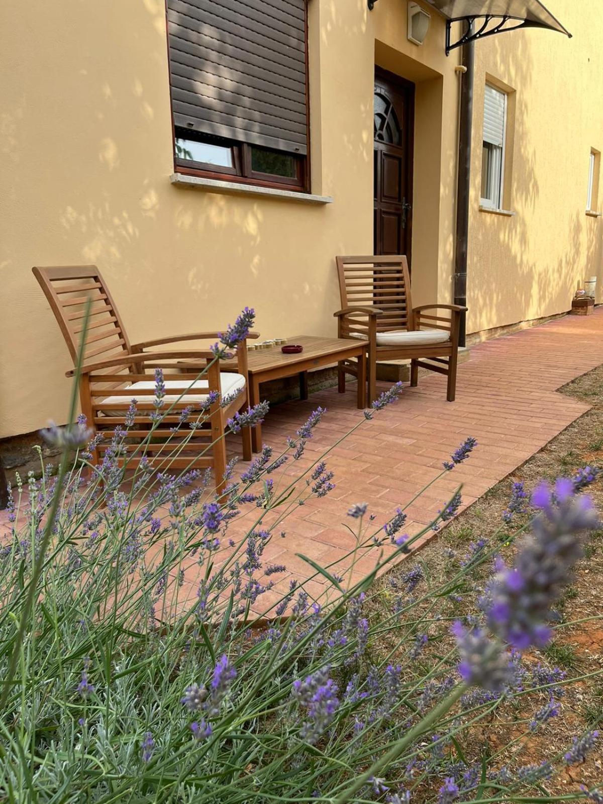 Ližnjan Studio Apartman San 3 חדר תמונה